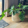 Azibo-2 Azibo Baskets (Full Weave)