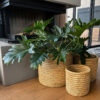 Azibo-4new Azibo Baskets (Full Weave)