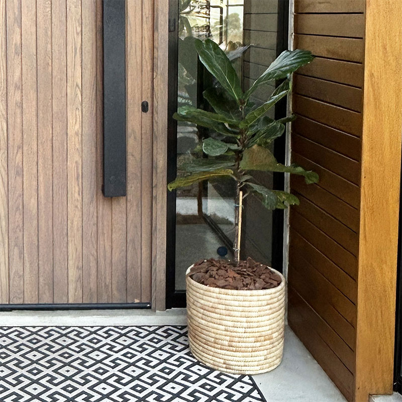 Azibo10 Azibo Baskets (Full Weave)